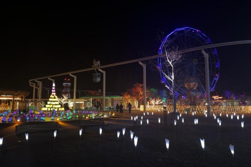 夜の遊園地が鮮やかな光の世界に。