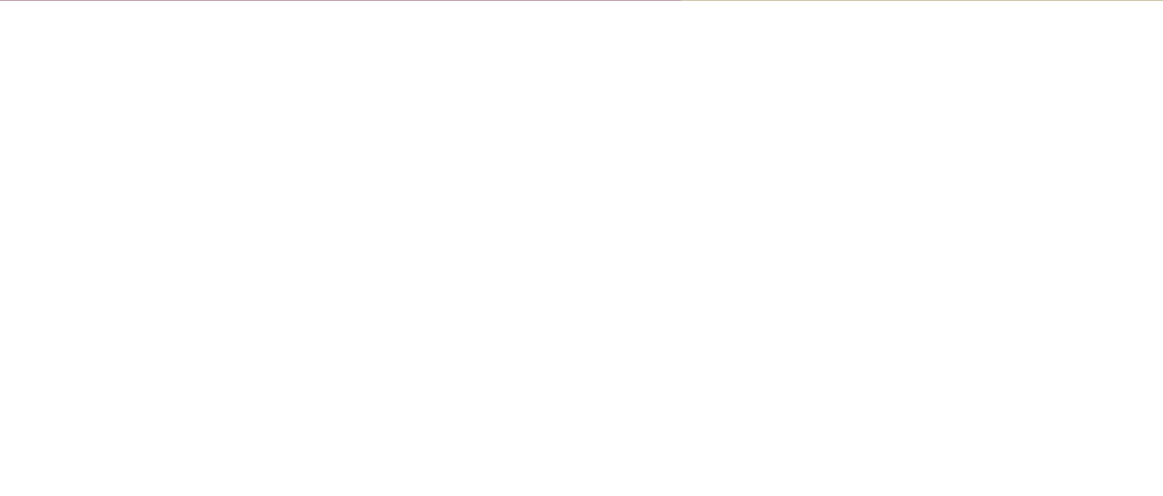 AutoExe Under Spoiler Set アンダースポイラーセット