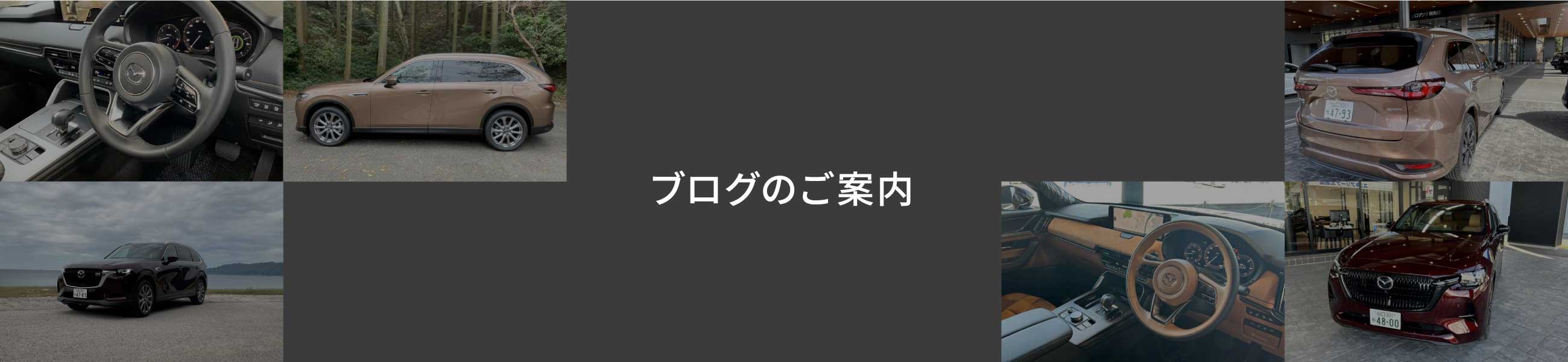 ブログのご案内