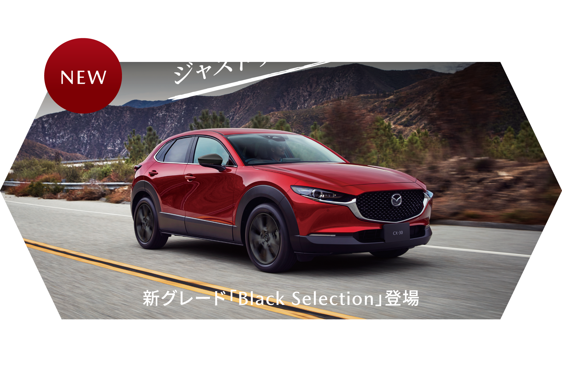 ジャストサイズのSUV 新グレード「Black Selection」登場 MAZDA CX-30