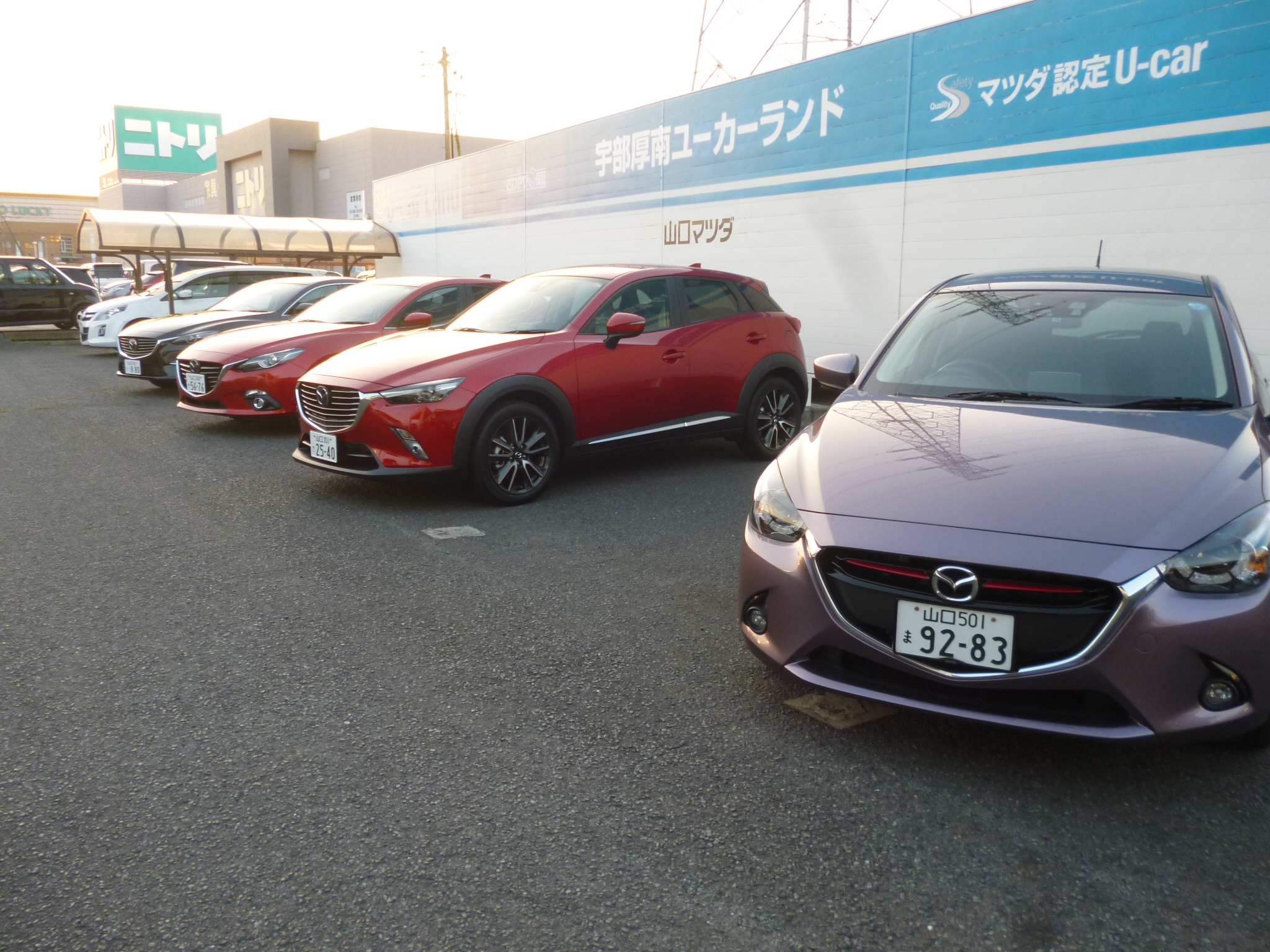 魂動デザインのマツダの試乗車がズラリ♪