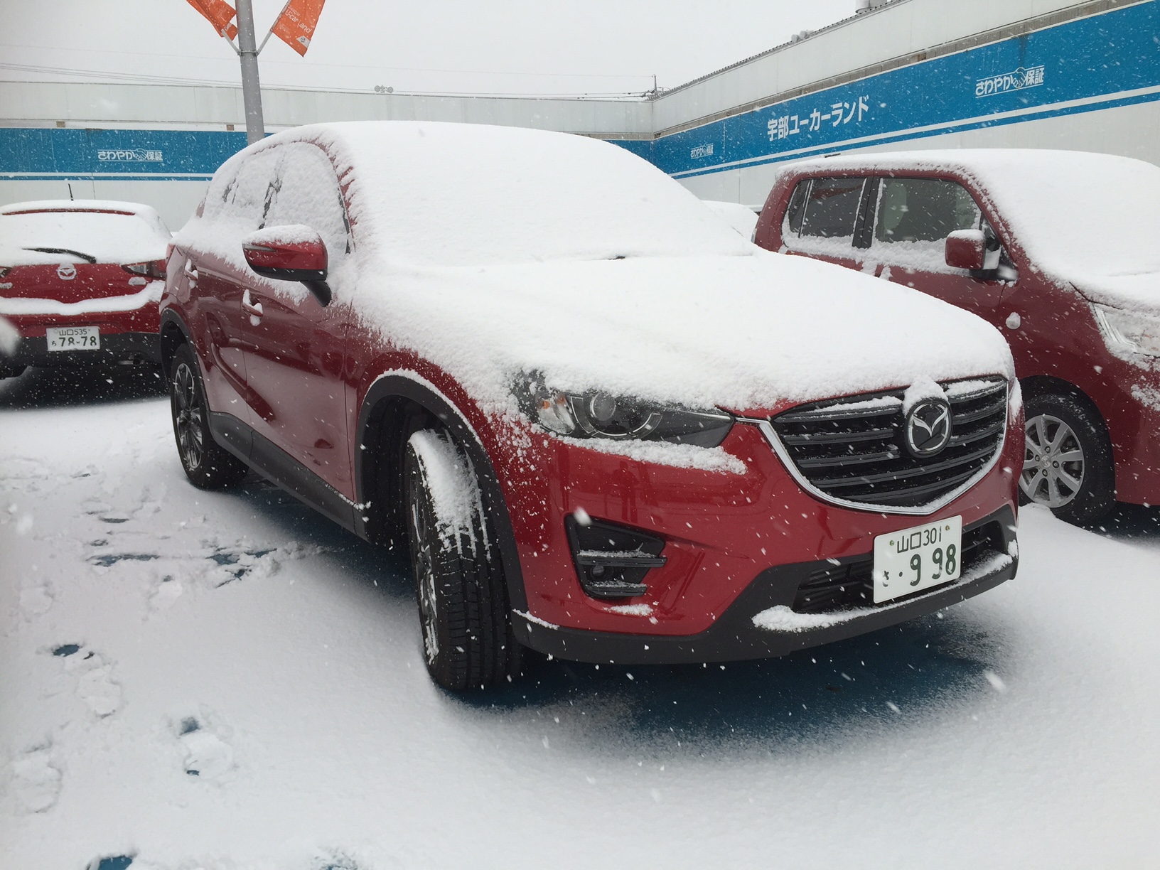 雪とCX-5この二つはとても似合います！
