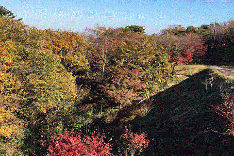 長野山緑地公園