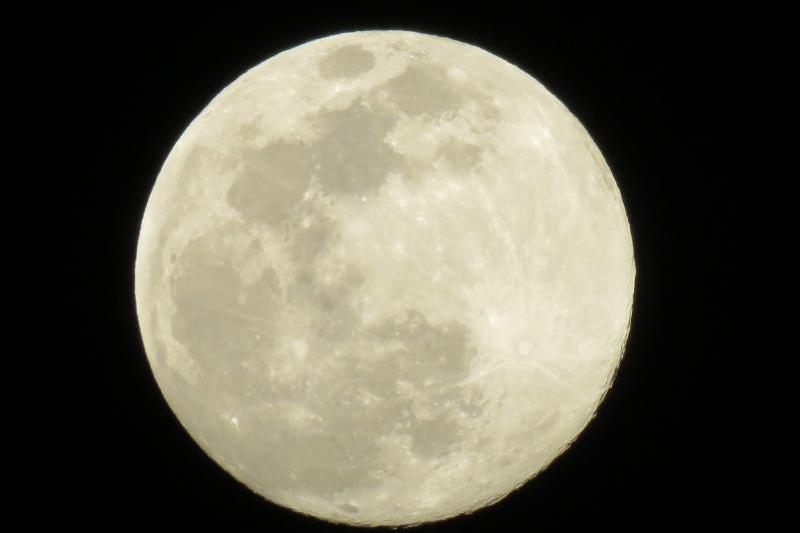 ひさびさの月の写真
