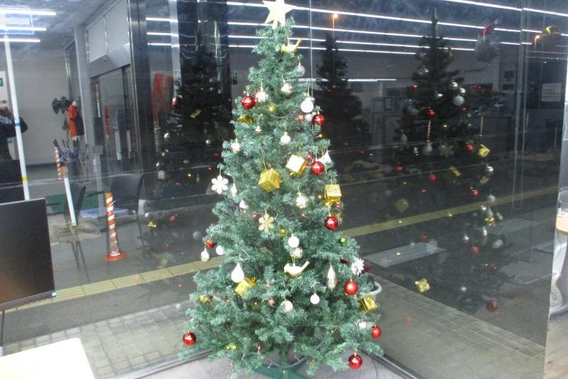 恒例のクリスマスツリー