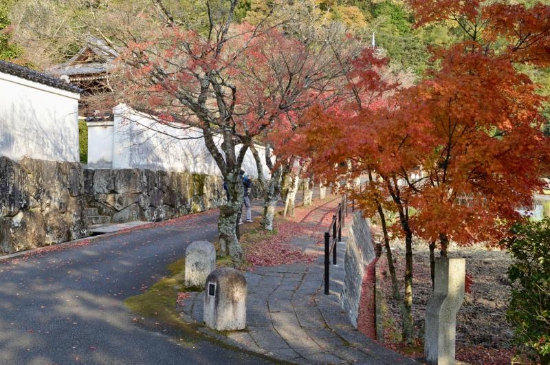 先月のブログでご紹介した漢陽寺さんに今回は日中に行ってみました