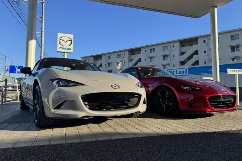 どっちがお好きですか？