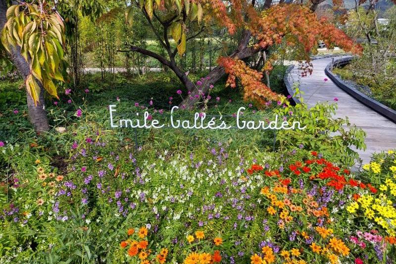 広島 秋の下瀬美術館の風景⑤