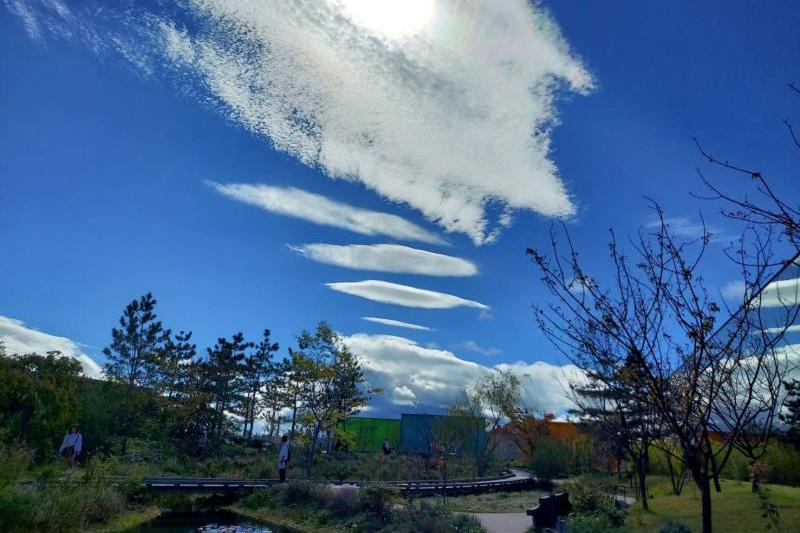 広島 秋の下瀬美術館の風景①