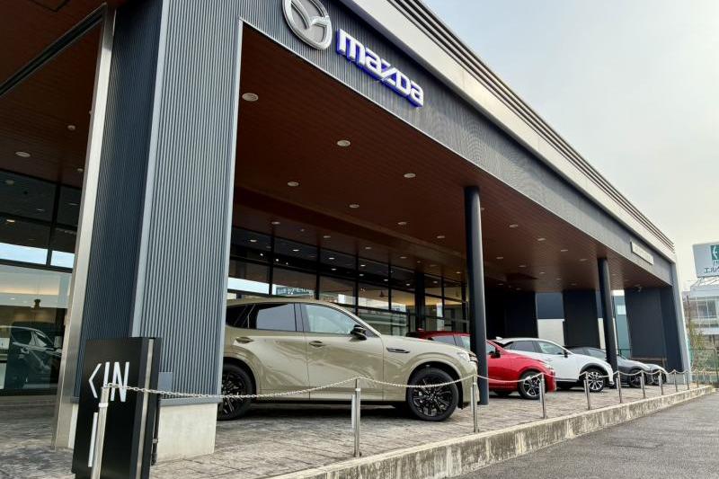 試乗車を取り揃えています