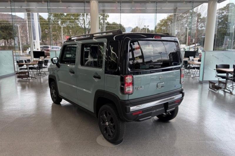 ルーフとリアガラス付近はブラック塗装されています