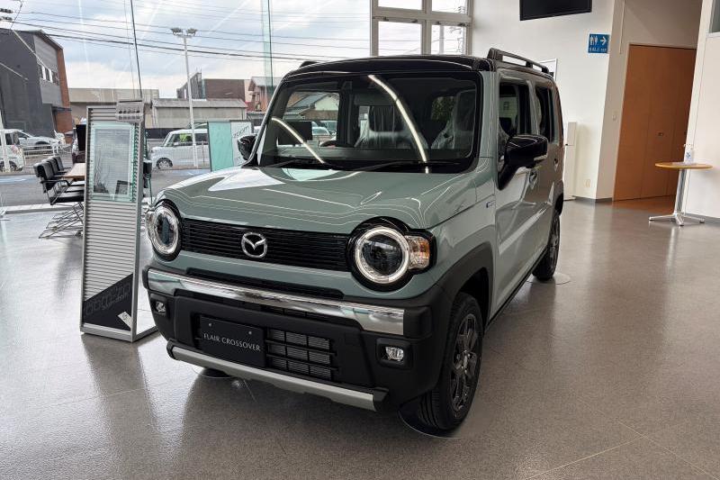 キュートな顔つきが惹かれます